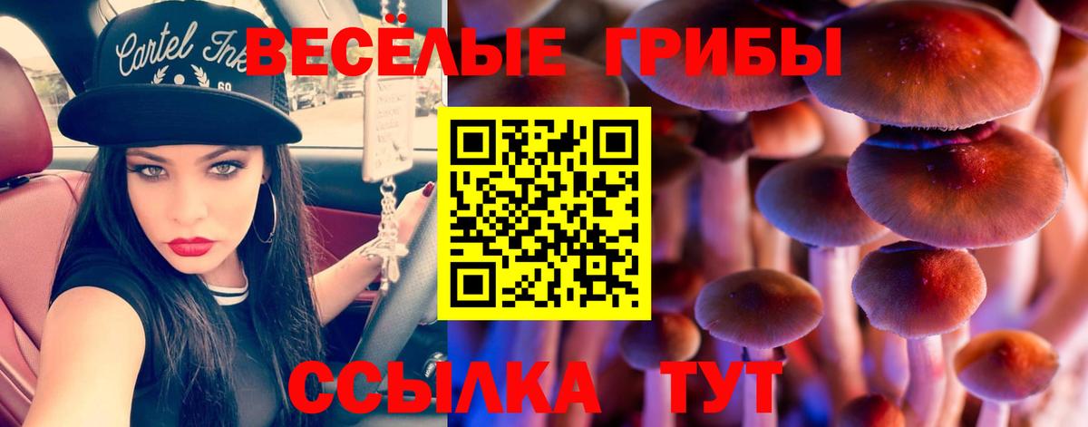 Нижнеудинск  Псилоцибиновые грибы мухоморы  как найти наркотики  Вход с VPN 